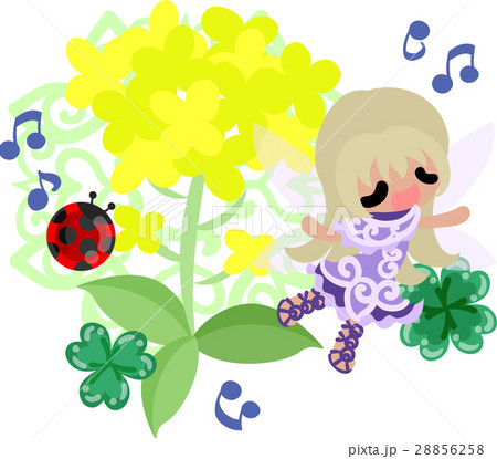 可愛い妖精と綺麗な菜の花とてんとう虫とクローバーのイラスト素材