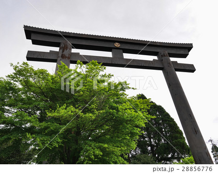 鹿児島県 霧島市 霧島神宮 大鳥居（一の鳥居） 28856776