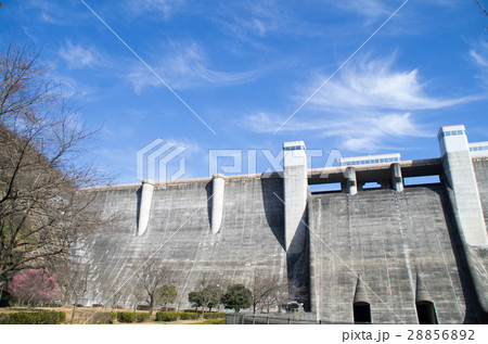 梅とダム 28856892