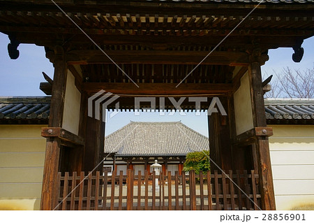 奈良法華寺・南大門2 奈良法華寺・南大門2 28856901