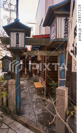 名古屋市金刀比羅神社 28857119