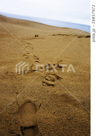 砂に刻まれた足跡 28857972