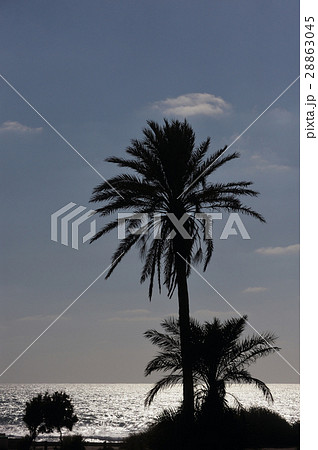 Mediterranean Coast Israel 28863045
