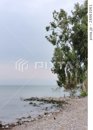 Lake Kinneret 28863061