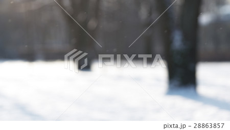 beautiful snowfall background in town park in 28863857