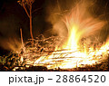 Open flames burning dead branches and weeds 28864520