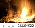 Open flames burning dead branches and weeds 28864522
