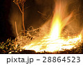 Open flames burning dead branches and weeds 28864523