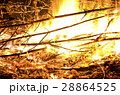 Open flames burning dead branches and weeds 28864525