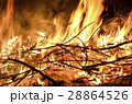 Open flames burning dead branches and weeds 28864526