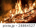 Open flames burning dead branches and weeds 28864527