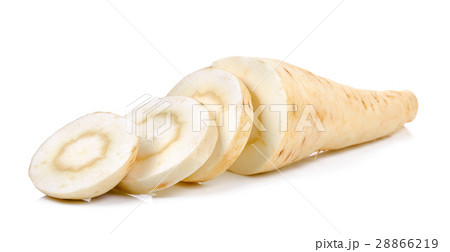 Parsnip isolated on the white background Parsnip isolated on the white background 28866219