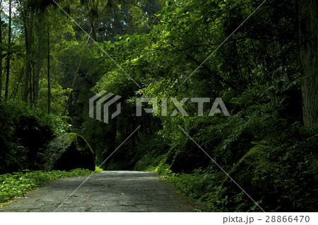 池溏 林 森 28866470