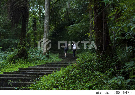 池溏 林 森 28866476