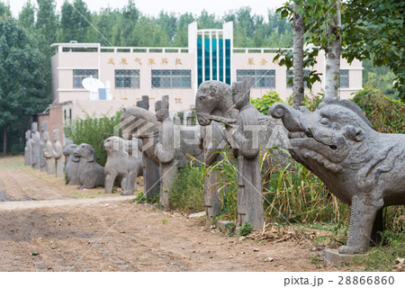 北宋皇帝陵 永厚陵 中国河南省鞏義市 北宋皇帝陵 永厚陵 中国河南省鞏義市 28866860