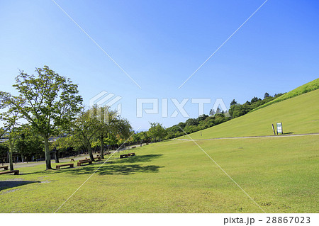 奈良県・若草山 奈良県・若草山 28867023