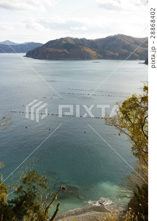 女川湾,日本におけるワカメ養殖漁業の発祥地,海岸線まで迫る山々 女川湾,日本におけるワカメ養殖漁業の発祥地,海岸線まで迫る山々 28868402