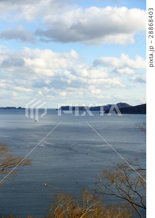 女川湾,日本におけるワカメ養殖漁業の発祥地,海岸線まで迫る山々 女川湾,日本におけるワカメ養殖漁業の発祥地,海岸線まで迫る山々 28868403