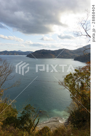 女川湾,日本におけるワカメ養殖漁業の発祥地,海岸線まで迫る山々 女川湾,日本におけるワカメ養殖漁業の発祥地,海岸線まで迫る山々 28868404