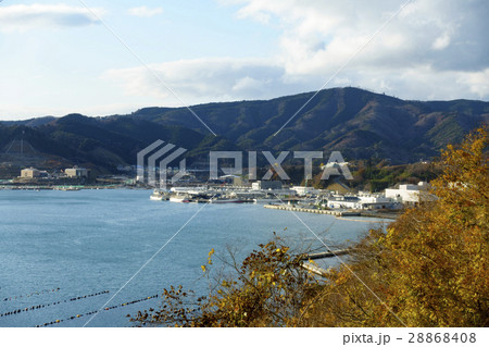 女川湾,日本におけるワカメ養殖漁業の発祥地,海岸線まで迫る山々 女川湾,日本におけるワカメ養殖漁業の発祥地,海岸線まで迫る山々 28868408