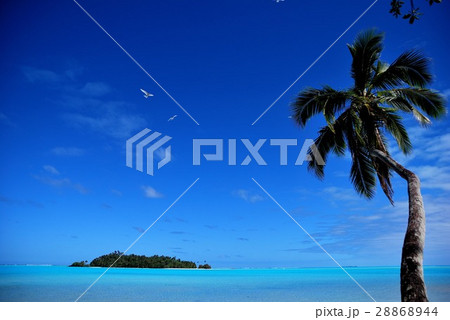 ラロトンガ アイツタキ島6 ラロトンガ アイツタキ島6 28868944