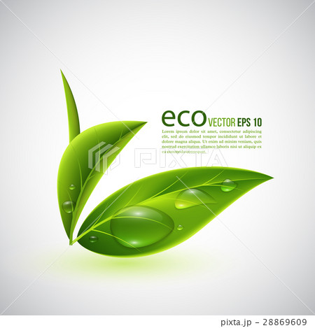 Realistic eco leaves. 28869609