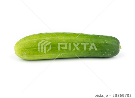 fresh Cucumber vegetable. fresh Cucumber vegetable. 28869702