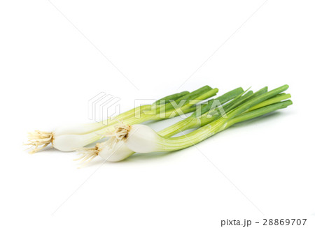 onions leaf vegetable. onions leaf vegetable. 28869707