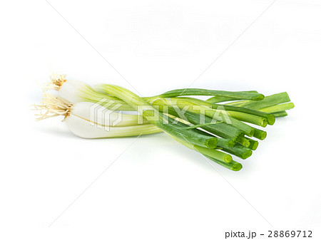 onions leaf vegetable. onions leaf vegetable. 28869712
