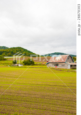 北海道 畑のある風景 北海道 畑のある風景 28870303