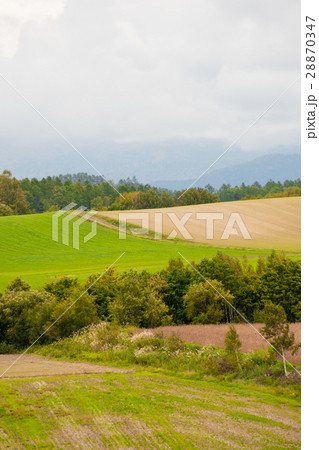 北海道　畑のある風景 28870347
