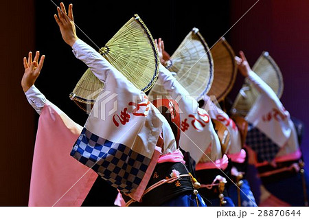 阿波おどり 阿波おどり 28870644