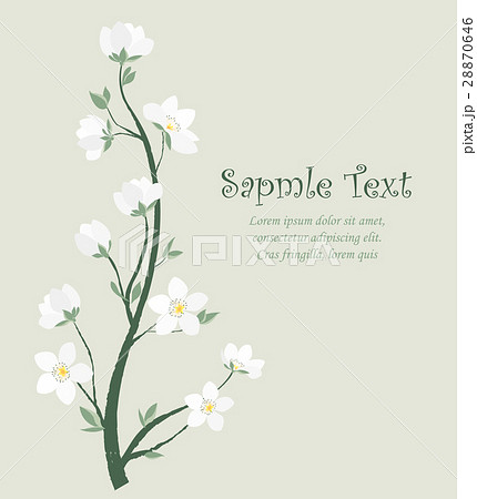 Vector spring blossom 28870646