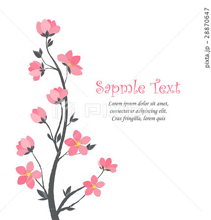 Spring sakura blossom 28870647