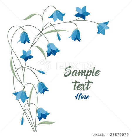 Summer flower campanula Summer flower campanula 28870676