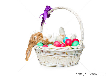 Beautiful domestic rabbit in basket with eggs 28870809