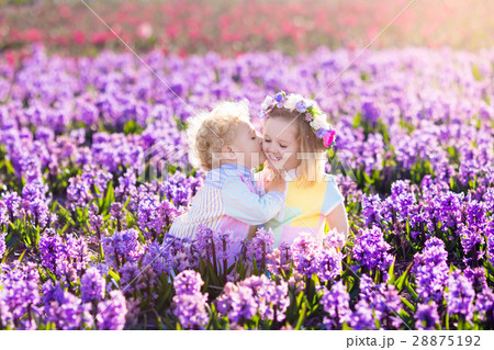 Kids in blooming garden with hyacinth flowers Kids in blooming garden with hyacinth flowers 28875192