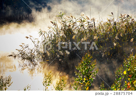 Fog with sun light at frosty morning on the river Fog with sun light at frosty morning on the river 28875704