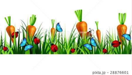Green Grass seamless Green Grass seamless 28876601