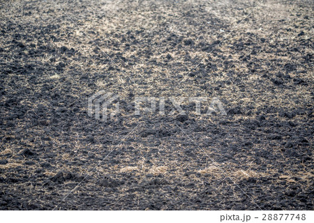 Plowed soil for key farming 28877748