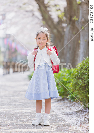 6 years old 28878434