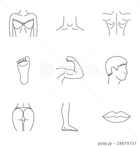 Human body icons set, outline style Human body icons set, outline style 28879737
