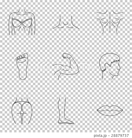 Human body icons set, outline style Human body icons set, outline style 28879737