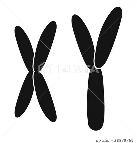Human chromosomes icon, simple style Human chromosomes icon, simple style 28879769