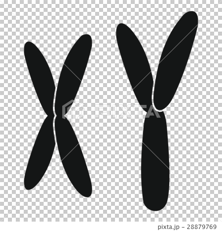 Human chromosomes icon, simple style Human chromosomes icon, simple style 28879769