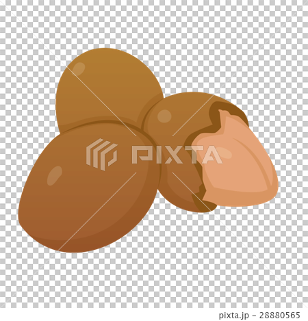 Nuts icon, cartoon style 28880565