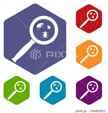 Magnifier and insects icons set 28880993
