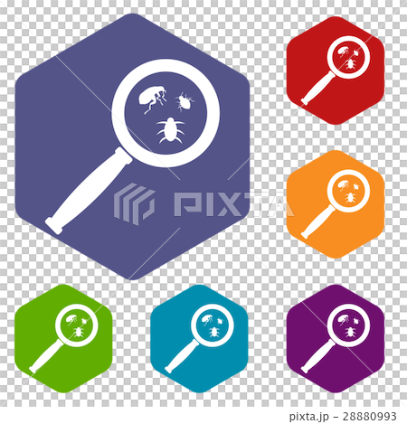 Magnifier and insects icons set 28880993
