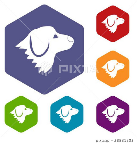 Retriever dog icons set Retriever dog icons set 28881203