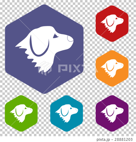 Retriever dog icons set 28881203